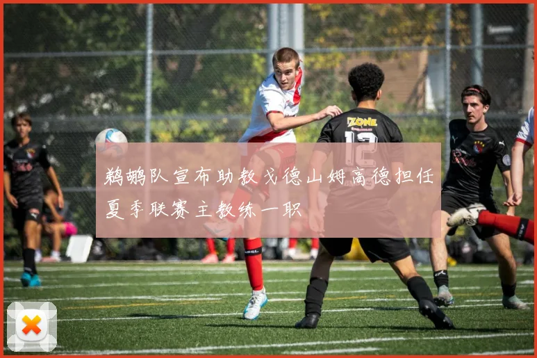 鹈鹕队宣布助教戈德山姆高德担任夏季联赛主教练一职